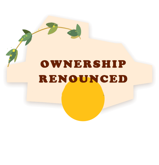 Beautiful illustrations on each page